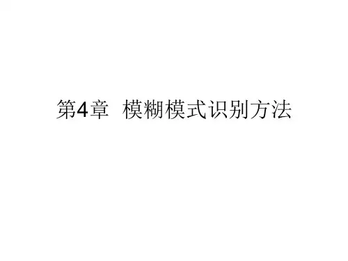 模糊模式识别方法介绍PPT(51张)