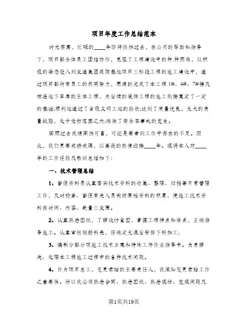 项目年度工作总结范本（5篇）