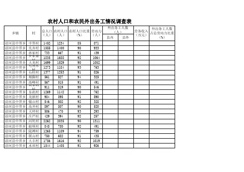 农村人口和农民外出务工情况调查表