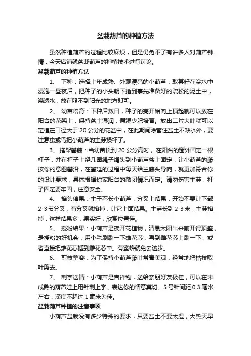 盆栽葫芦的种植方法