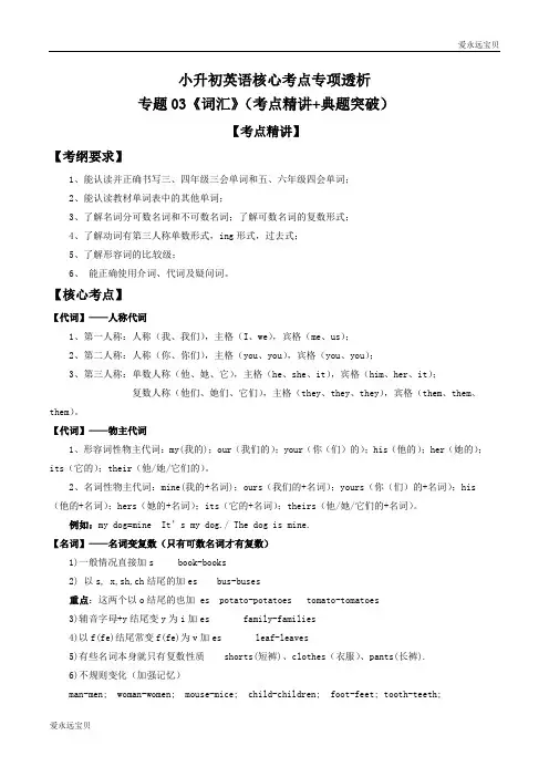 2020年小升初六年级英语核心考点专项考点精讲+典题突破 专题03《词汇》(通用版含答案)