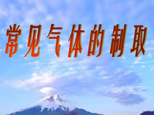 常见气体的制取PPT课件 人教版
