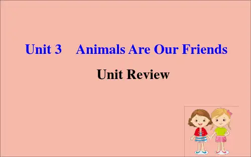八年级英语下册Unit3AnimalsAreOurFriendsUnitReview课件冀教版