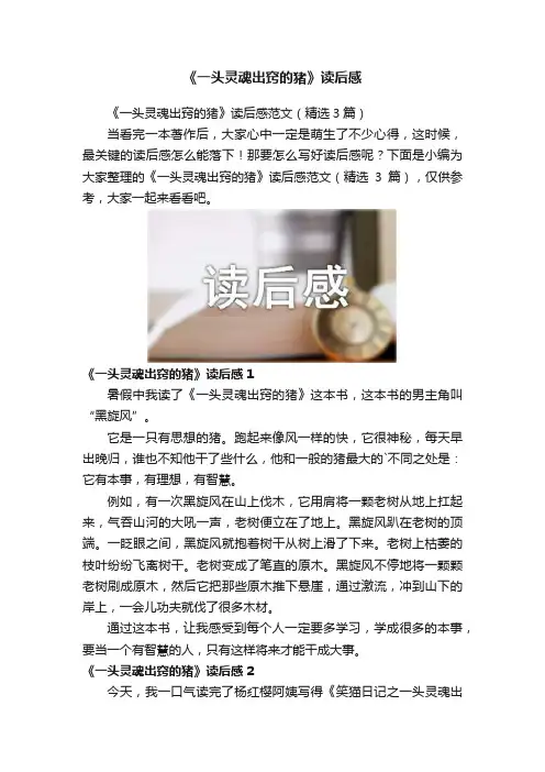 《一头灵魂出窍的猪》读后感