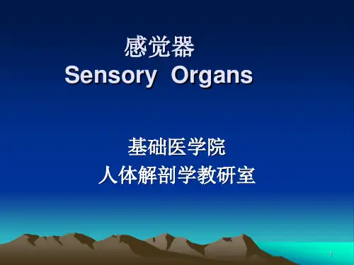感觉器PPT课件