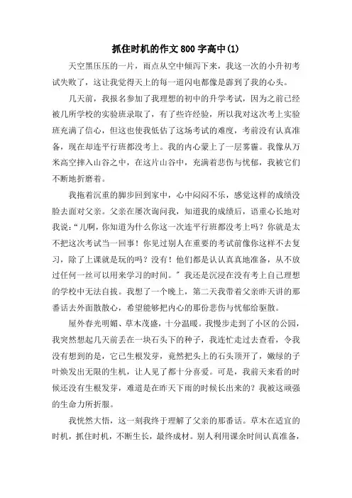 抓住机会的作文800字高中(1)