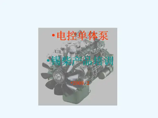 锡柴电控单体泵培训(99页)