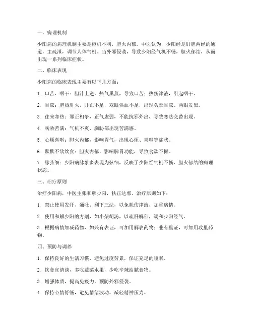 少阳病总结范文