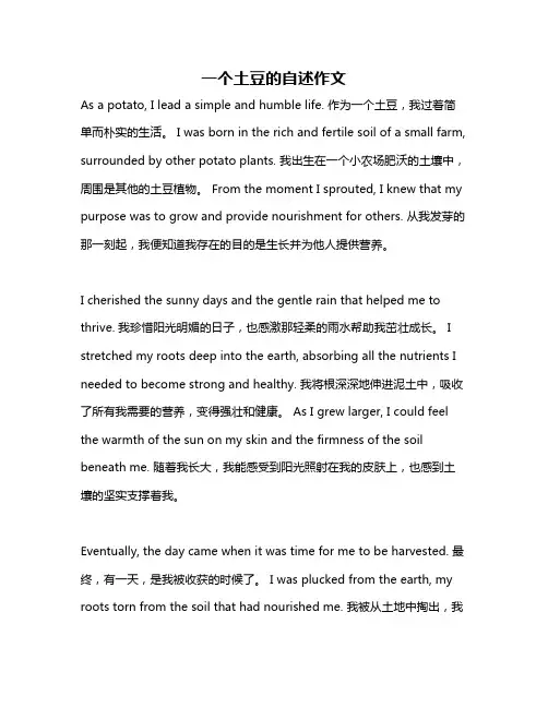 一个土豆的自述作文
