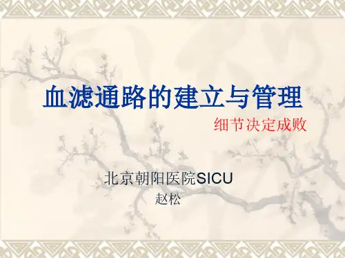 CRRT血管通路的建立与管理赵松2013