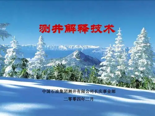 测井解释技术