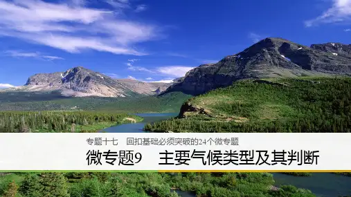 2019-2020高考地理二轮知识专题复习课件：专题十七 回扣基础必须突破的24个微专题 微专题9