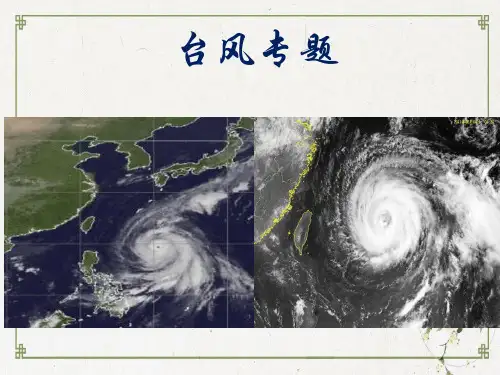 高考地理专题系列-台风