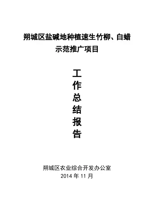 科技推广项目技术工作总结