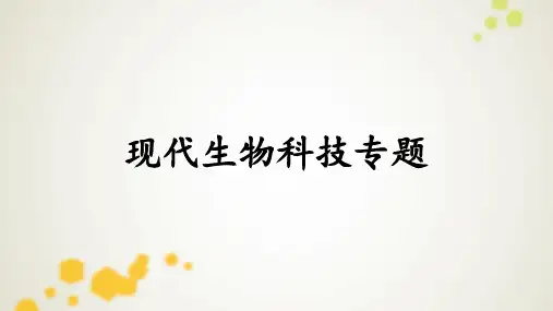 基因工程及蛋白质工程 (共53张PPT)