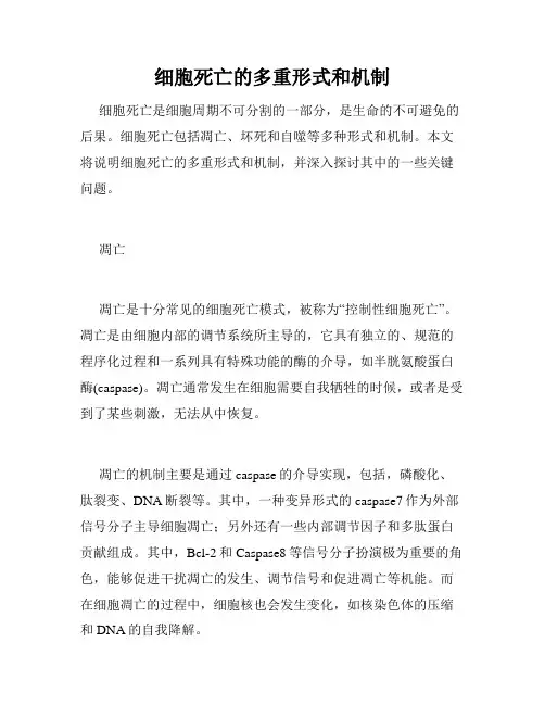 细胞死亡的多重形式和机制