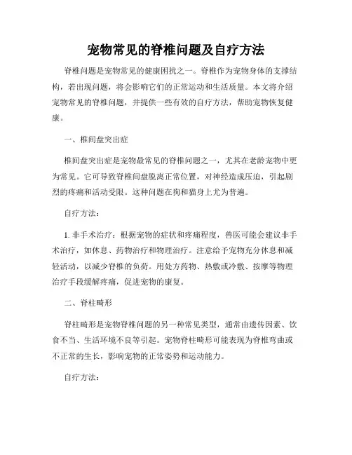 宠物常见的脊椎问题及自疗方法