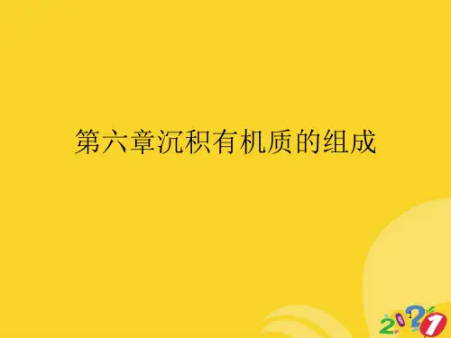 2021新第六章沉积有机质的组成专业资料
