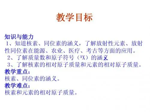 《核素》