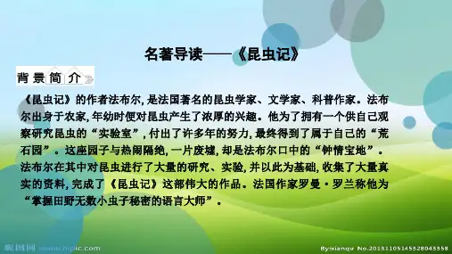 人教部编版八年级上册语文课件：第五单元 名著导读—《昆虫记》(共17张PPT)(优质版推荐)
