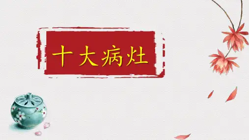 2024届高考语文复习：辨析与修改病句+课件