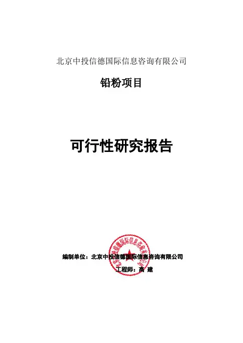 铅粉项目可行性研究报告编写格式说明(模板套用型word)