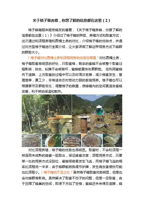 关于格子箱养蜂，你想了解的信息都在这里（2）