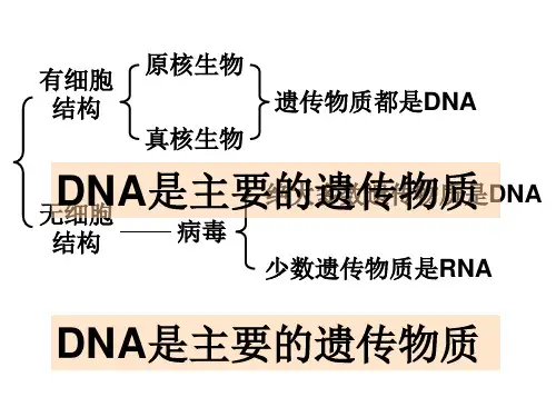人教版高中生物必修二 3.2DNA分子的结构(共30张)
