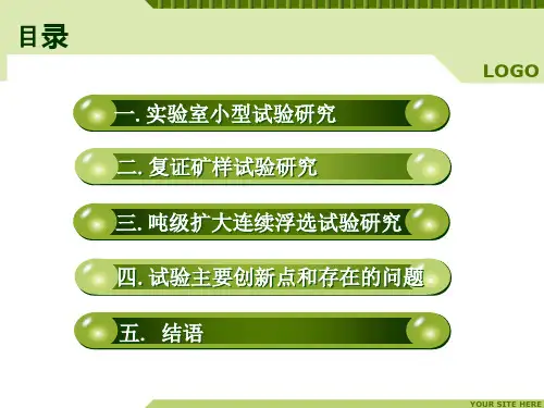 正反浮选工艺流程优化