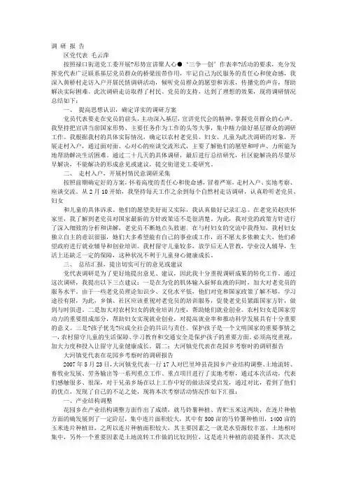 党代表调研报告
