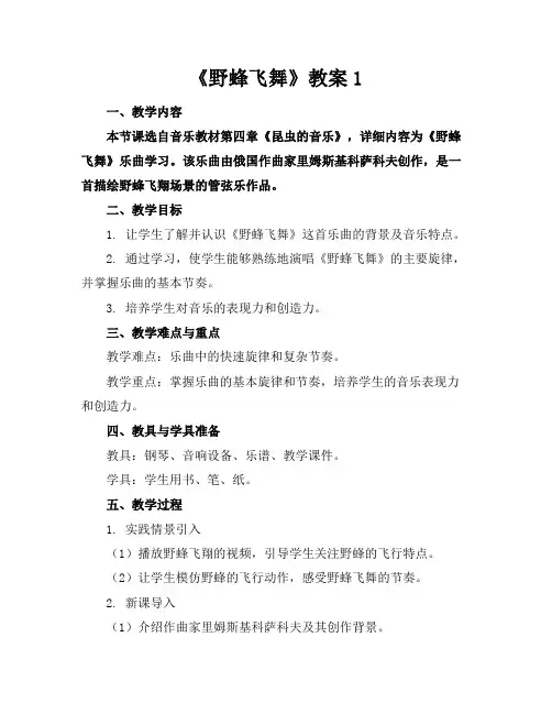 《野蜂飞舞》教案1