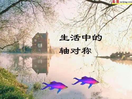 图形的轴对称复习课
