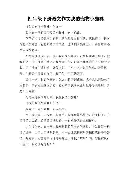 四年级下册语文作文我的宠物小猫咪