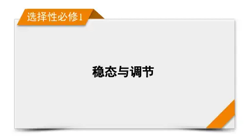 选择性必修1 第8单元 第1讲 人体的内环境与稳态