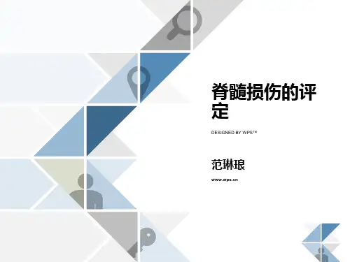 ASIA评定量表