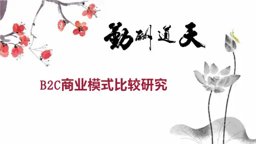 B2C商业模式比较研究