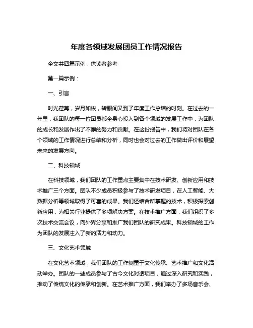 年度各领域发展团员工作情况报告