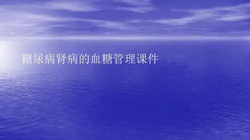糖尿病肾病的血糖管理PPT讲稿