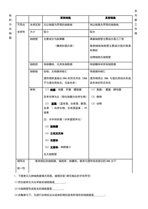 真核细胞与原核细胞比较表