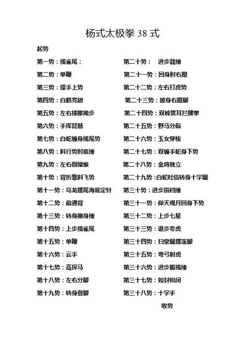 杨式太极拳38式