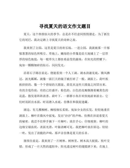 寻找夏天的语文作文题目