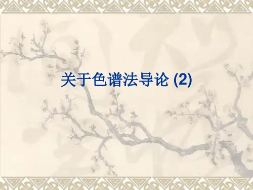 关于色谱法导论 (2)课件