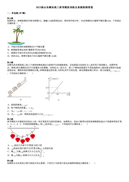 2023届山东潍坊高三高考模拟训练全真演练物理卷