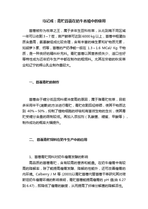马记成：青贮苜蓿在奶牛养殖中的使用