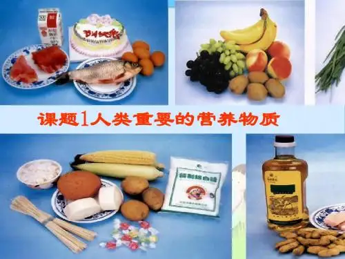 【人教版】九年级化学第十二单元-课题1-人类重要的营养物质(共20张ppt)