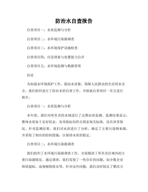 防治水自查报告