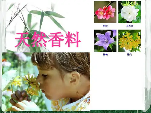 天然香料及提取