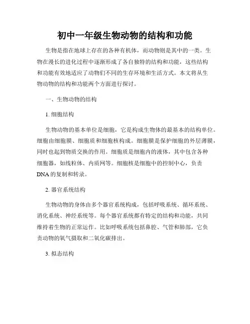 初中一年级生物动物的结构和功能