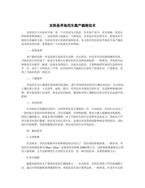 宜阳县旱地花生高产栽培技术