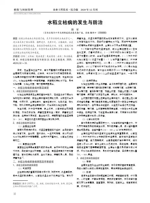 水稻立枯病的发生与防治
